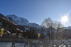Jungfrauview, Wengen